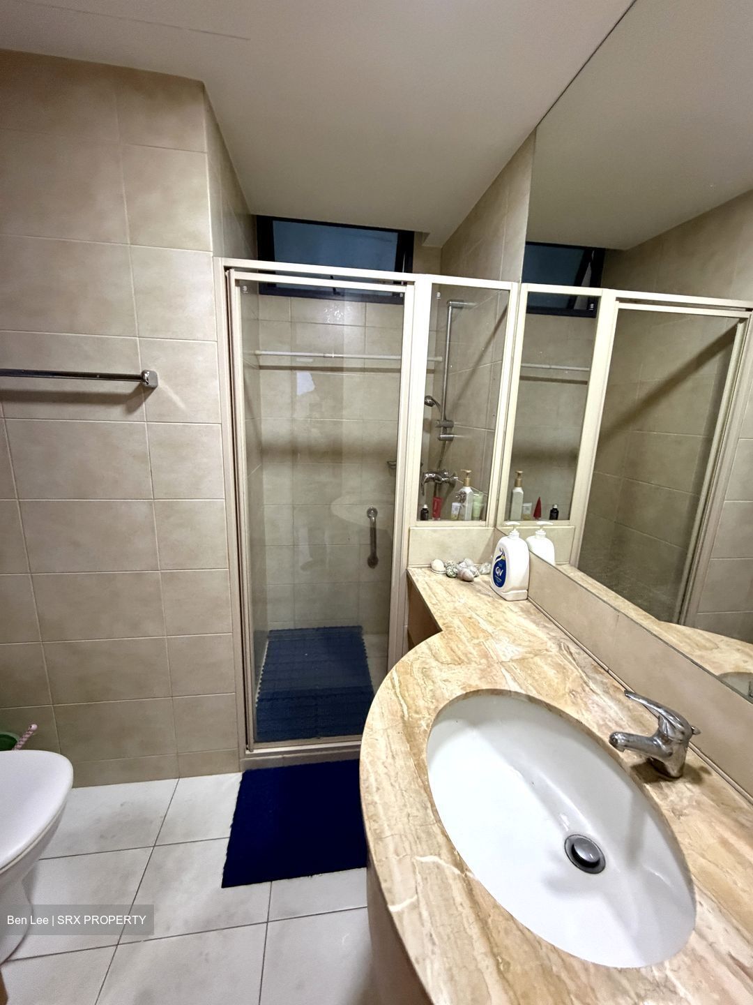 Blue Horizon (D5), Condominium #639439501